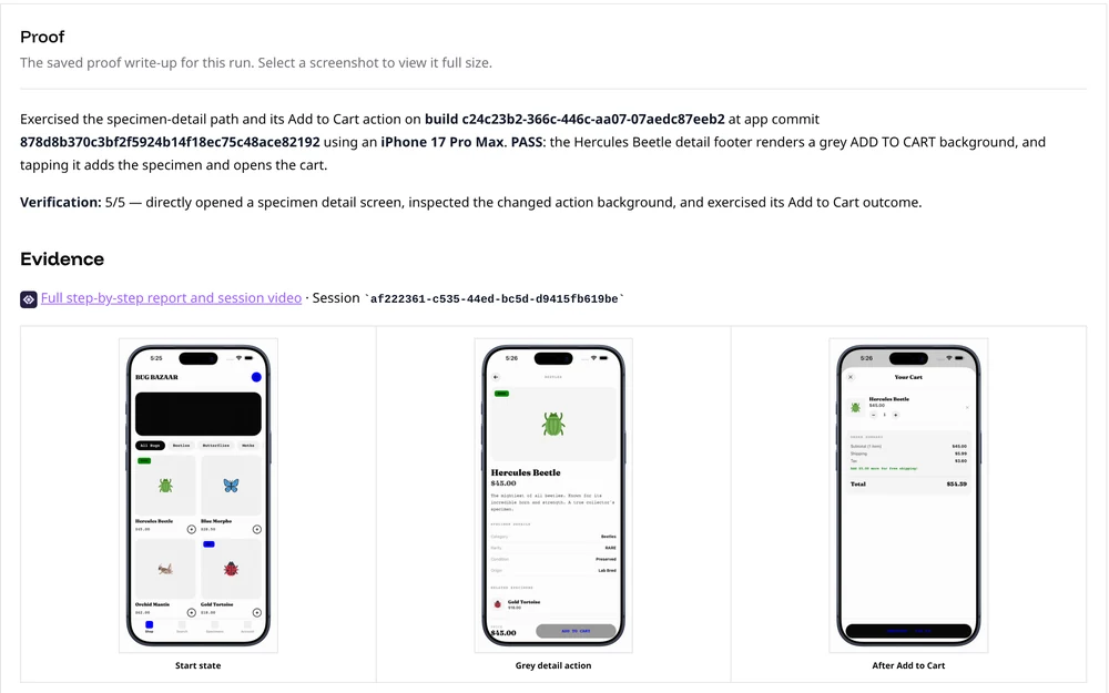 A proof-of-changes write-up with screenshots as evidence